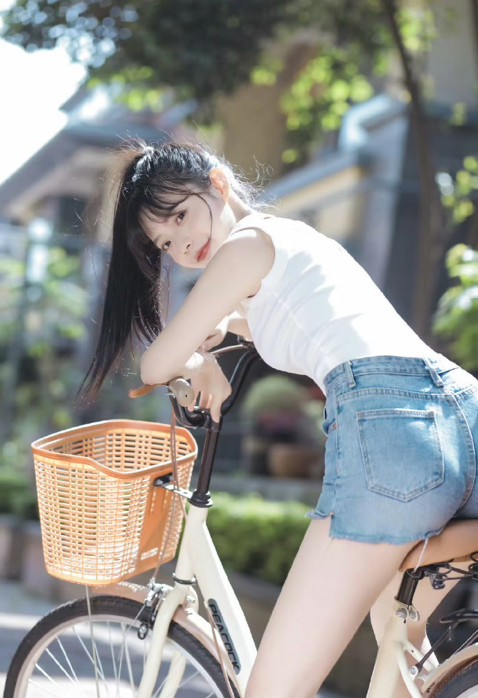 风骚律师 封面